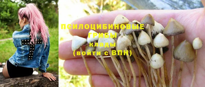 Галлюциногенные грибы MAGIC MUSHROOMS  Карпинск 